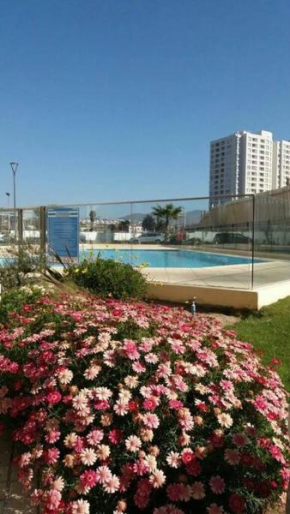 Departamento La Serena Disponible